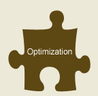 Do you need optimization services?  What are they?